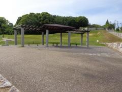 樹木公園