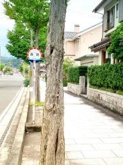 「森町」バス停留所