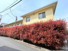 グループホームみんなの家・中野鷺宮