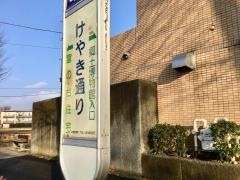 「けやき通り」バス停留所