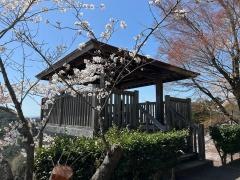美濃金山城跡