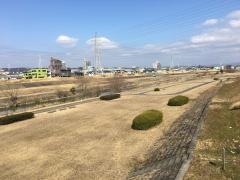 大森橋東緑地