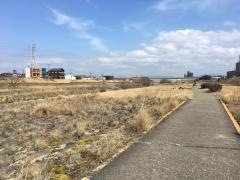 大森橋東緑地