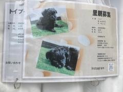 ドッグヴィジョン（ＤＯＧＶＵＩＳＩＯＮ）