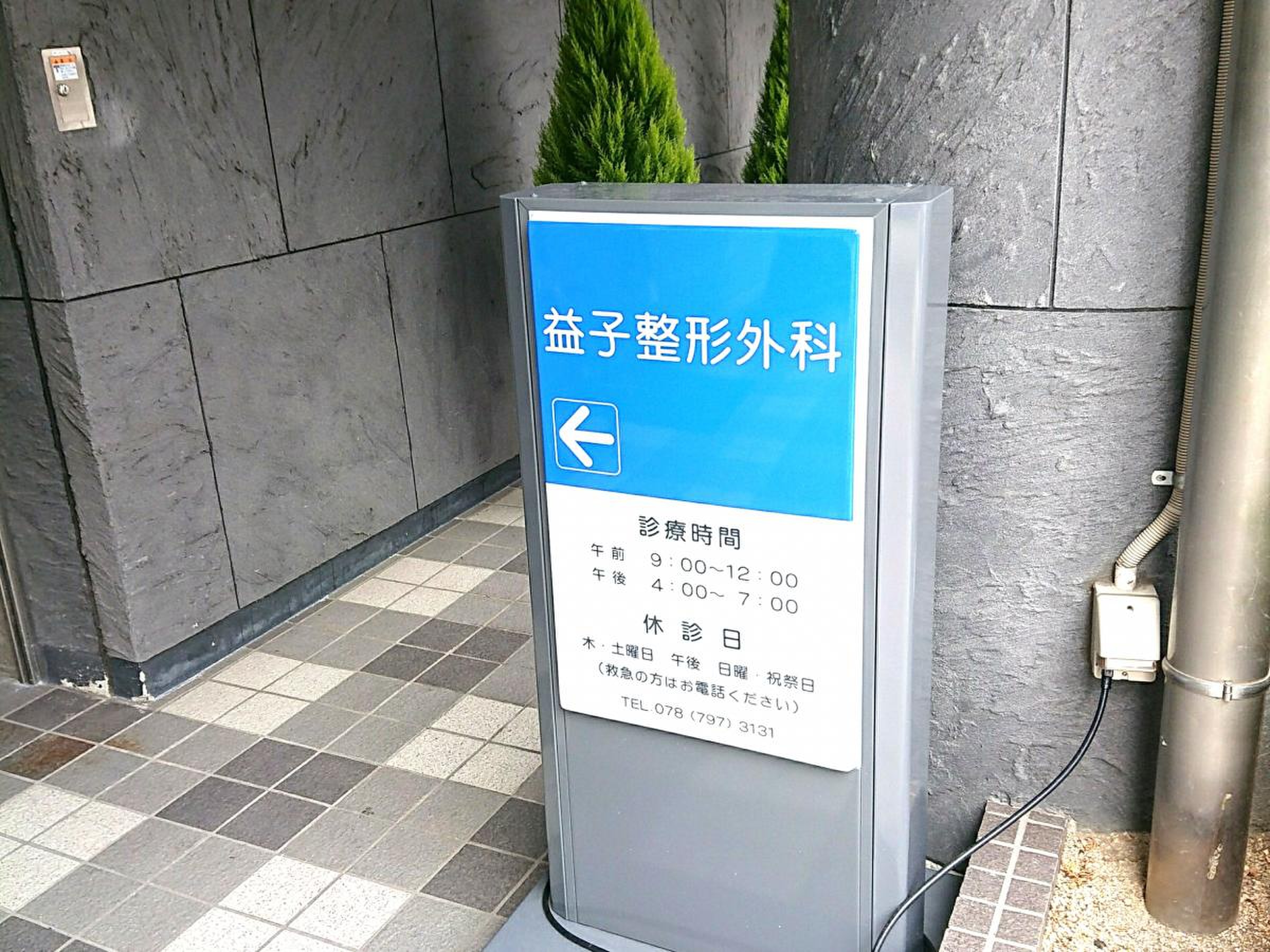 ます こ 整形 外科