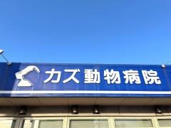 カズ動物病院