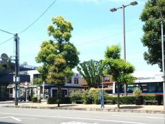 「三島駅」バス停留所