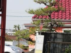 「大山口」バス停留所