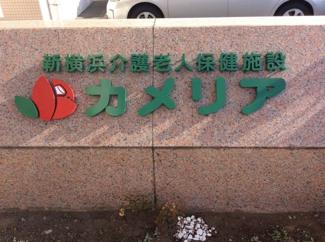 カメリア