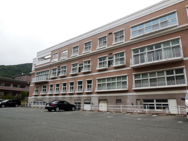 フェニックス