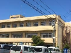 リンデンバウムの杜