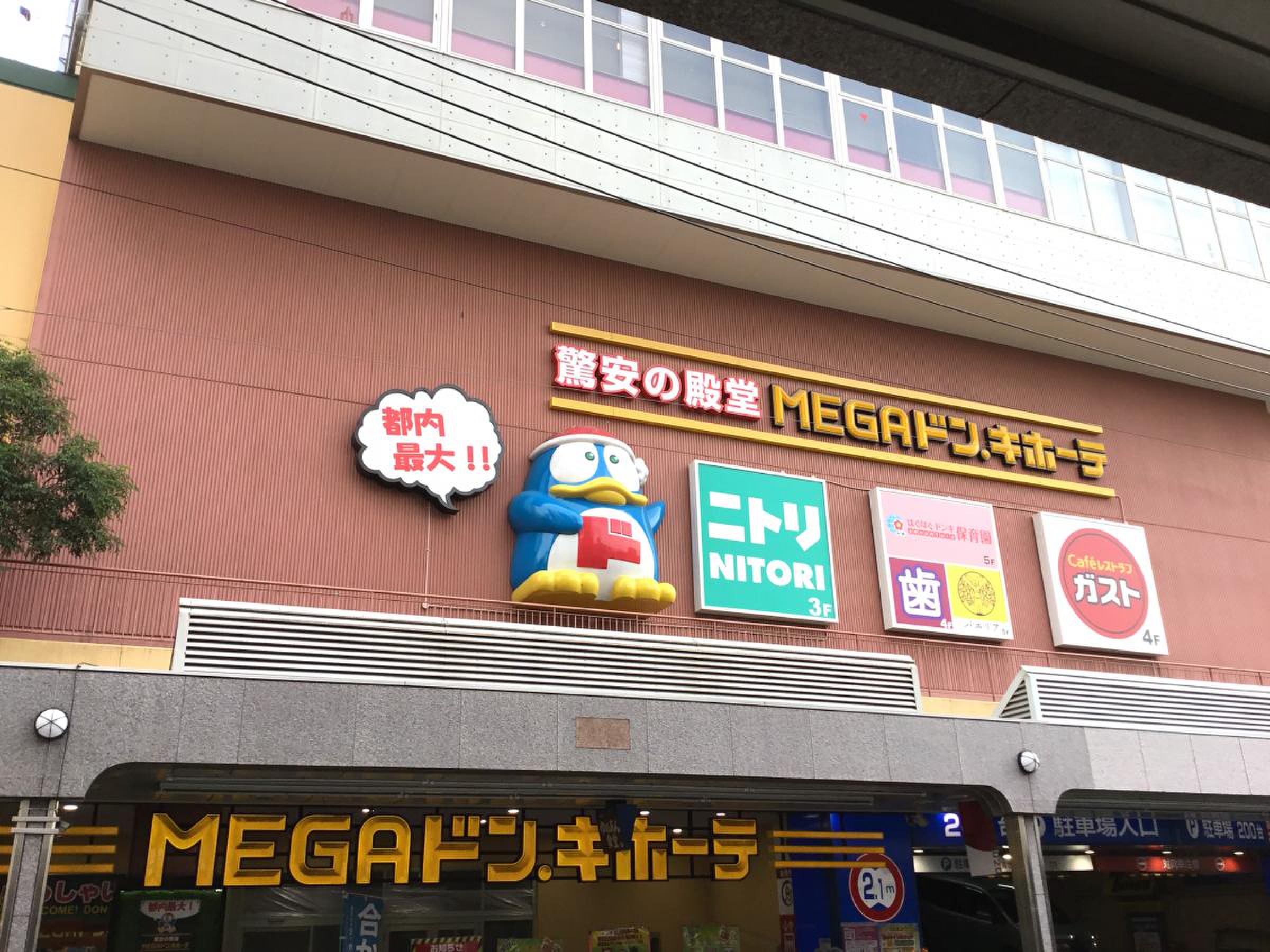 公の場での発言・インタビュー報道記録