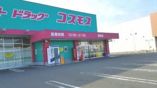 ドラッグストアコスモス　国府店