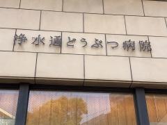 浄水通どうぶつ病院