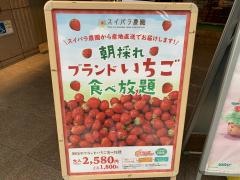 スイーツパラダイス　新宿東口店