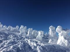 蔵王の樹氷