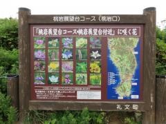 桃岩展望台