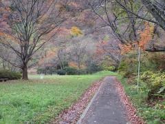 大倉湖畔公園