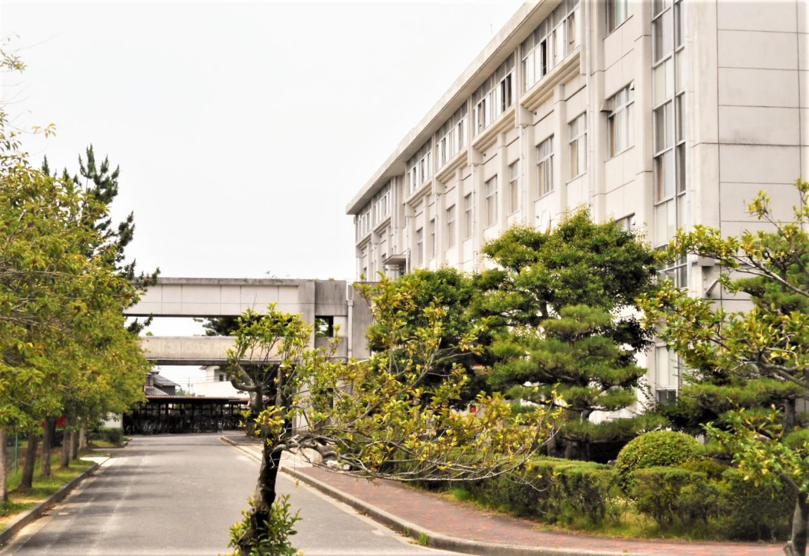 愛知 県立 豊野 高等 学校