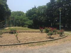 荒子公園
