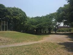 荒子公園
