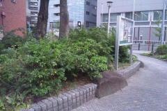 牛島街園