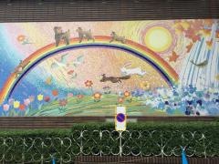 箕面学園福祉保育専門学校