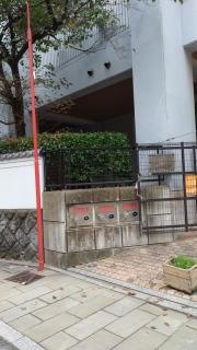 諏訪小学校