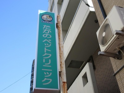 ドッグメディカル たかのペットクリニック 足立区綾瀬
