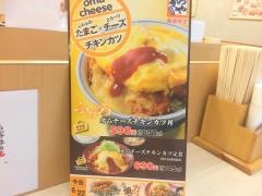 かつや　徳島沖浜店