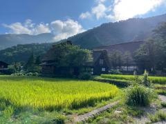 白川郷