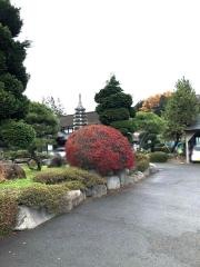 ひっつみ亭