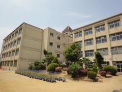 岩岡小学校
