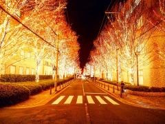 ローム株式会社