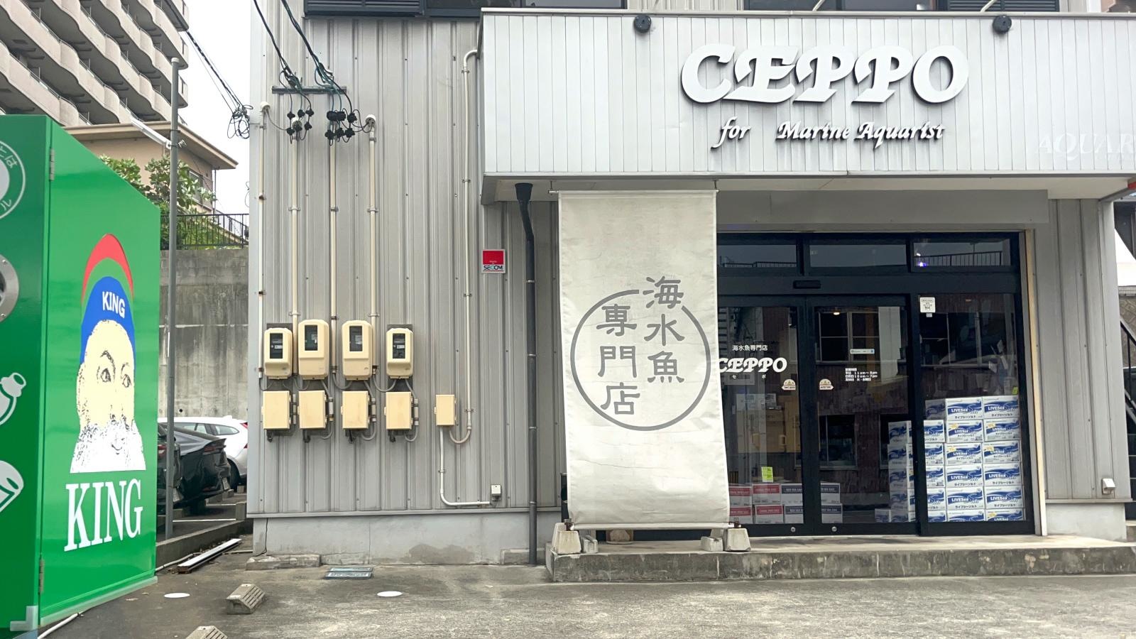 【セポ】の写真です。
