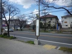 「稲葉町三丁目」バス停留所
