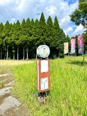 「猿まわし劇場前」バス停留所