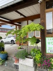せりかわ整骨院