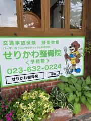 せりかわ整骨院