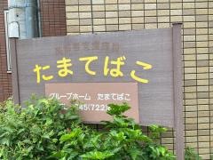たまてばこ