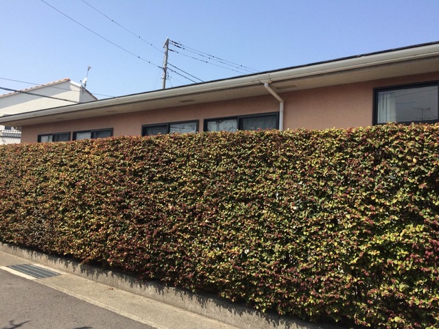 グループホーム大和 施設外観