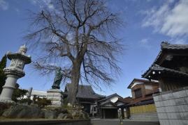 伝法寺