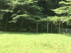 愛宕山公園