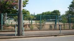 林小学校