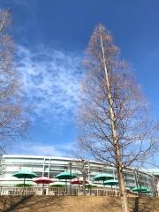 東海学園大学　三好キャンパス