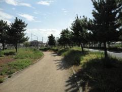りんくう野出北緑地