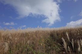 生石高原県立自然公園