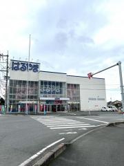 はるやま熊本嘉島店