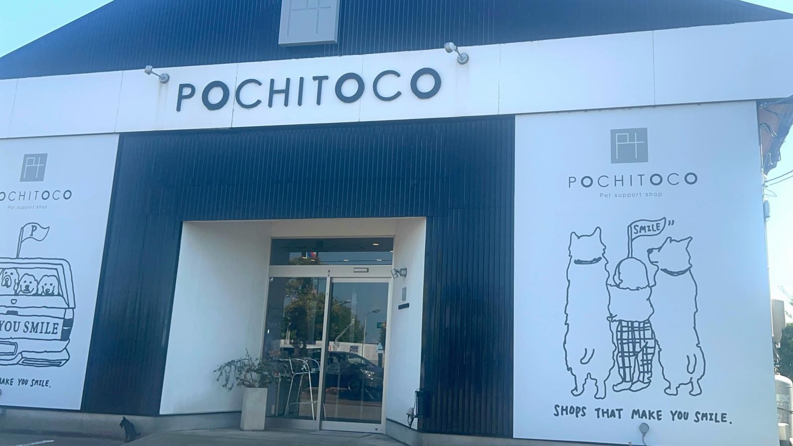 ＰＯＣＨＩＴＯＣＯです