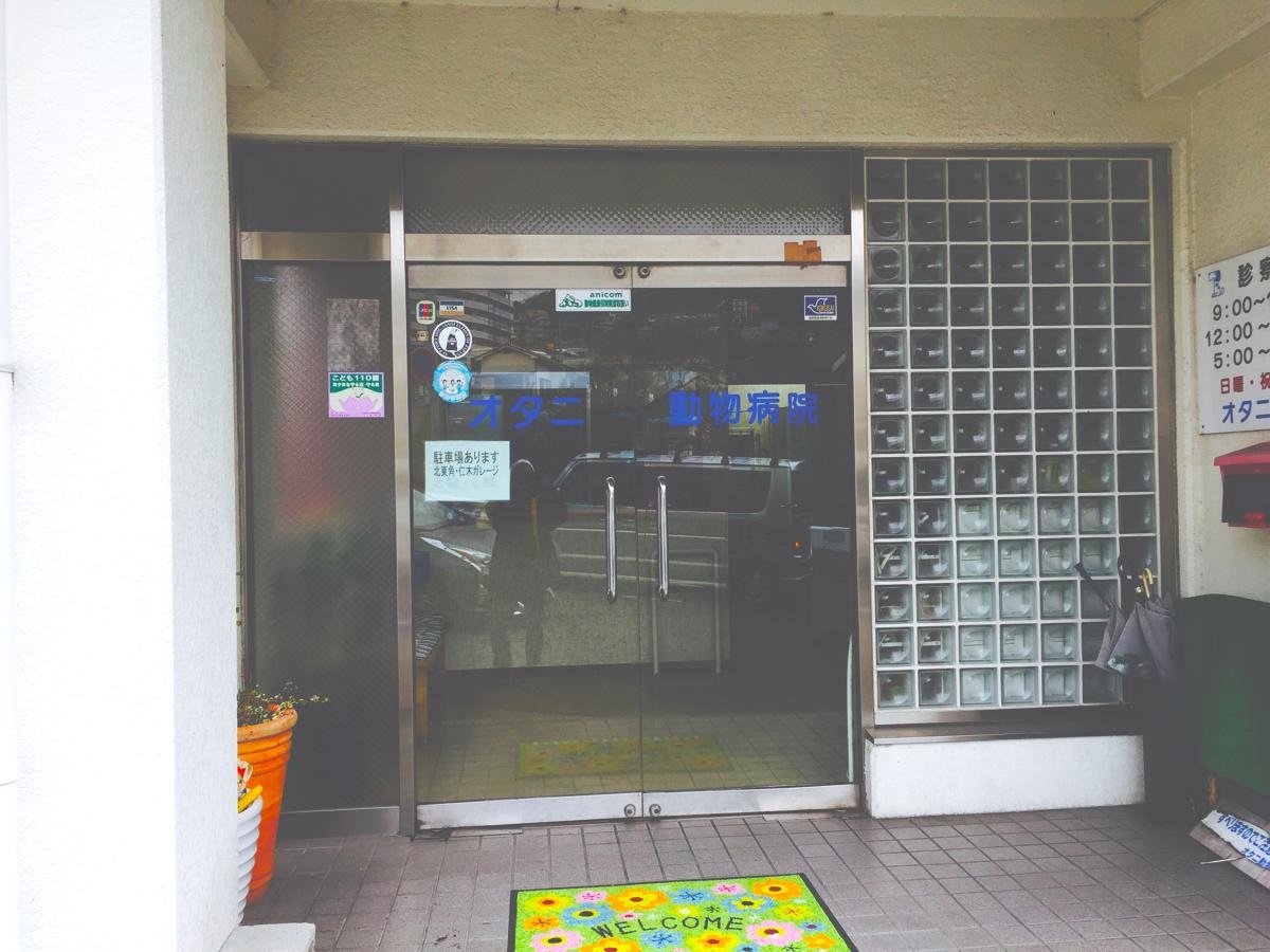オタニ動物病院